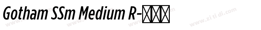 Gotham SSm Medium R字体转换